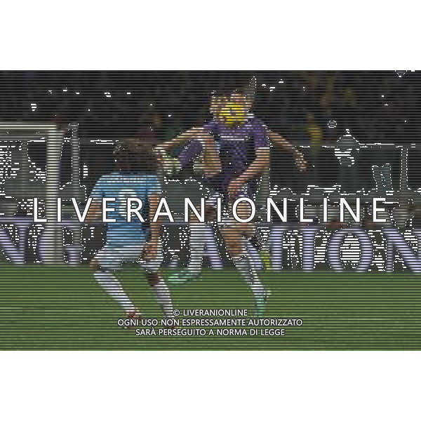 Fiorentina vs Lazio - Campionato Serie A TIM - 26 giornata - Stadio Artemioo Franchi - Firenze 26-02-2024 nella foto Belotti e Romagnoli foto federico gaetan-ag ald liverani sas