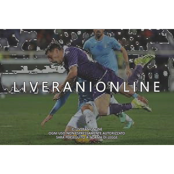 Fiorentina vs Lazio - Campionato Serie A TIM - 26 giornata - Stadio Artemioo Franchi - Firenze 26-02-2024 nella foto Fallo di Casale su Belotti foto federico gaetano-ag aldo liverani sas