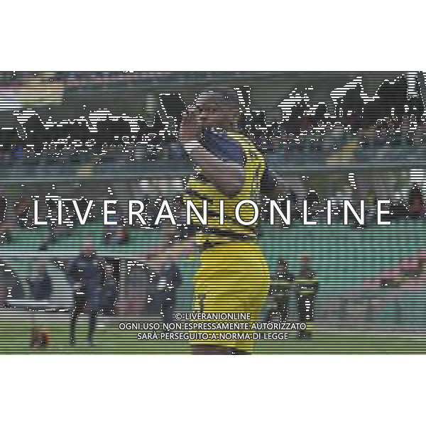 Ternana vs Parma - Campionato Serie B - 28 giornata - Stadio Libero Liberati - Terni 02-03-2024 nella foto Esultanza dopo gol ange-Yoan Bonny ©Federico Gaetano / AGENZIA ALDO LIVERANI SAS