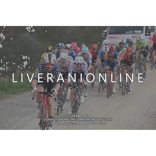 02-03-2024 Strade Bianche; 2024, Uae Team Emirates; 2024, Visma - Lease A Bike; Wellens, Tim; Pogacar, Tadej; Kuss, Sepp; ©SIROTTI/AGENZIA ALDO LIVERANI SAS