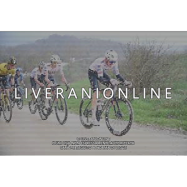 02-03-2024 Strade Bianche; 2024, Uae Team Emirates; Wellens, Tim; Pogacar, Tadej; ©SIROTTI/AGENZIA ALDO LIVERANI SAS