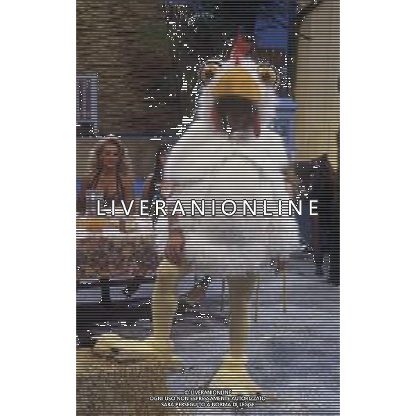 DIAP-RETROSPETTIVA FRANCESCO SALVI ATTORE E CANTANTE NELLA FOTO FRANCESCO SALVI NELL\'ANNO 1992 NELLA TRASMISSIONE TELEVISIVA “LA STRANA COPPIA“ AG ALDO LIVERANI SAS 
