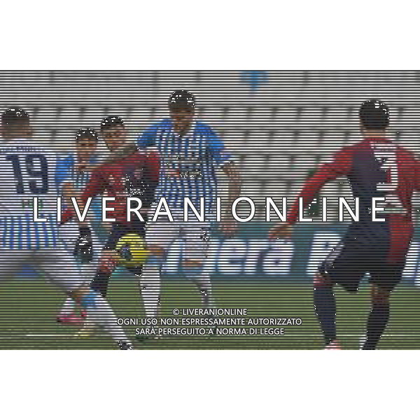 Vercelli 03.03.2024 Stadio Silvio Piola Sestri Levante vs Spal Campionato Calcio Serie C Girone B 2023/2024 28a giornata Nella foto: fabio maistro ©Viganti/AGENZIA ALDO LIVERANI SAS