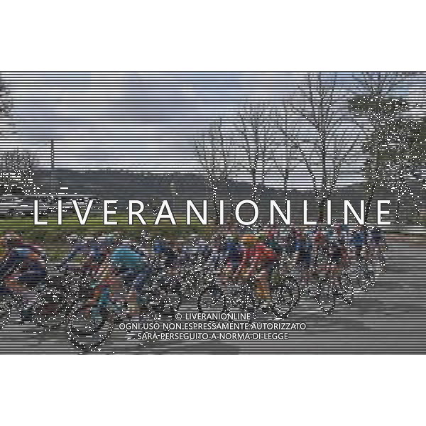 05-03-2024 Tirreno - Adriatico; Tappa 02 Camaiore - Follonica; 2024, Astana Qazaqstan; Morkov, Michael; ©SIROTTI/ AGENZIA ALDO LIVERANI SAS