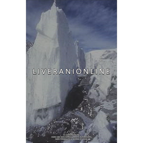 DIAP- 1988-1990 GHIACCIAI- MONTAGNE AG ALDO LIVERANI SAS