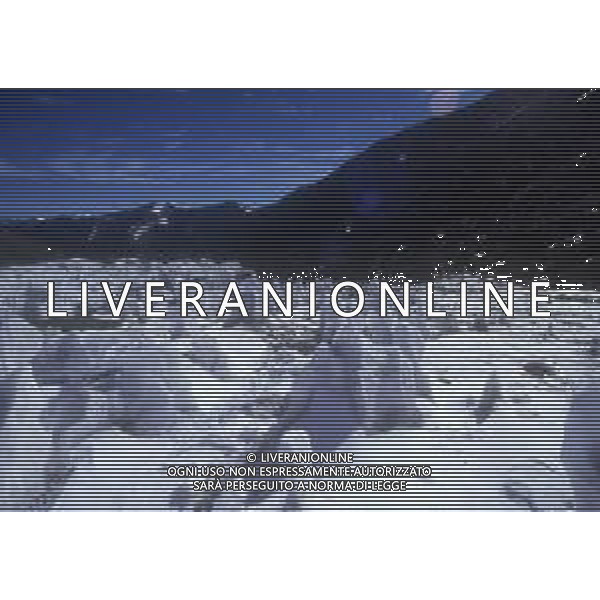 DIAP- 1988-1990 GHIACCIAI- MONTAGNE AG ALDO LIVERANI SAS
