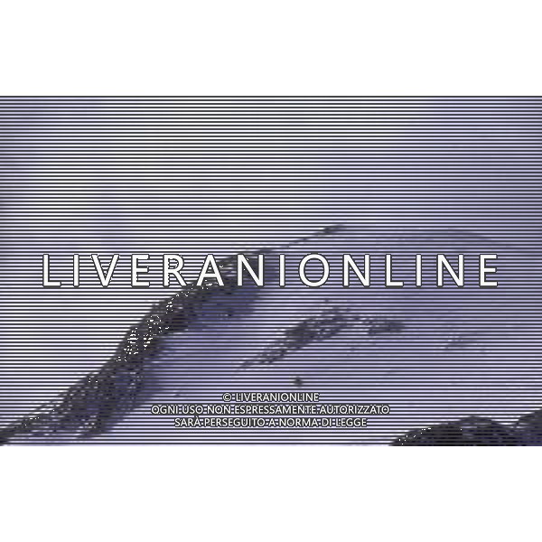 DIAP- 1988-1990 GHIACCIAI- MONTAGNE AG ALDO LIVERANI SAS