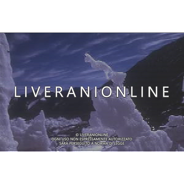 DIAP- 1988-1990 GHIACCIAI- MONTAGNE AG ALDO LIVERANI SAS
