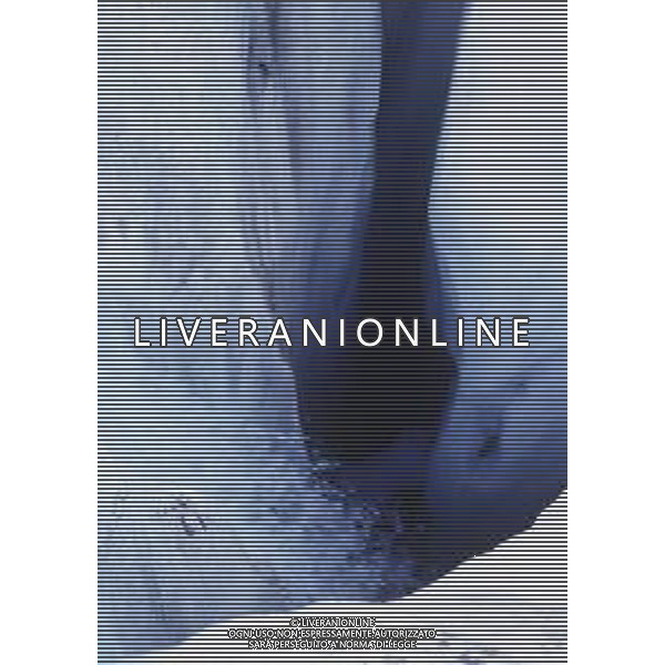 DIAP- 1988-1990 GHIACCIAI- MONTAGNE AG ALDO LIVERANI SAS