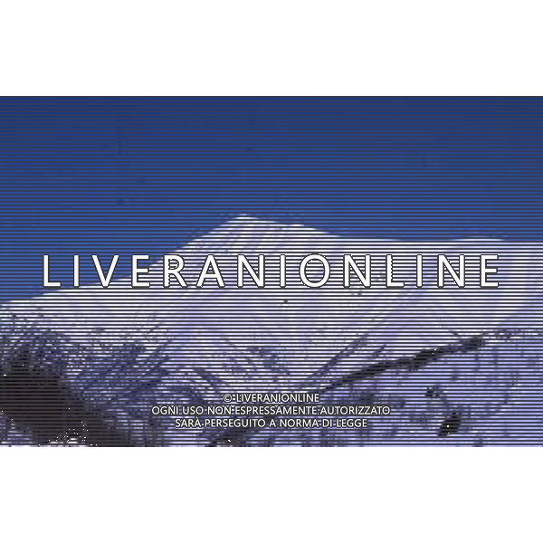 DIAP- 1988-1990 GHIACCIAI- MONTAGNE AG ALDO LIVERANI SAS