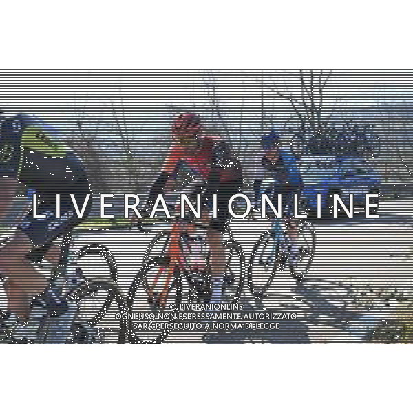 08-03-2024 Tirreno - Adriatico; Tappa 05 Torricella Sicura - Valle Castellana; 2024, Ineos Grenadiers; Ganna, Filippo; ©SIROTTI /AGENZIA ALDO LIVERANI SAS
