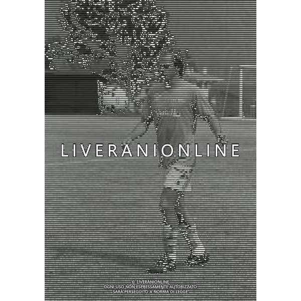 NEG-1991 ALLENAMENTO NAPOLI RITIRO ESTIVO NELLA FOTO ALEMAO AG ALDO LIVERANI SAS