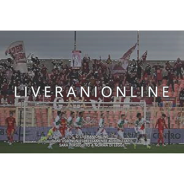 Stadio Nicola Ceravolo Serie B 2023-2024 Nella foto: Festa gol Reggiana e tifosi -CATANZARO - REGGIANA Campionato Calcio Serie BKT 09-03-2024 ©Andrea Rosito/AGENZIA ALDO LIVERANI SAS