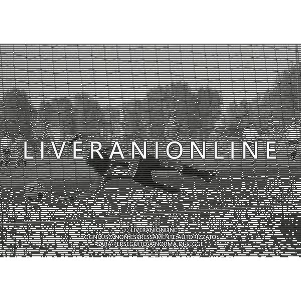 NEG-11-10-1981 MONZA CAMPIONATO DI CALCIO SERIE C1 MONZA-SANT\'ANGELO LODIGIANO 3-1 NELLA FOTO RIGORE GIUSEPPE GALLUZZO AG ALDO LIVERANI SAS