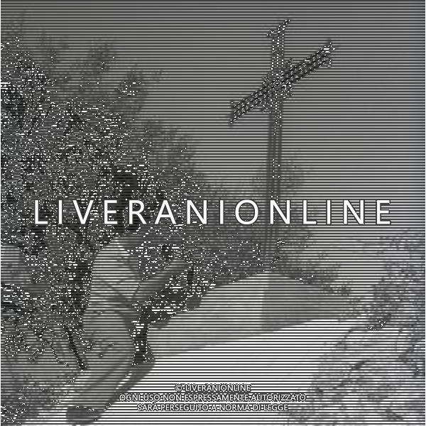 NEG-1952 MONTELEPRE I CIMITERO DOVE E\' SEPPELLITO IL BANDITO GIULIANO FOTO SANDRO VESPASIANI-AG GIOVANNI LIVERANI- AG ALDO LIVERANI SAS