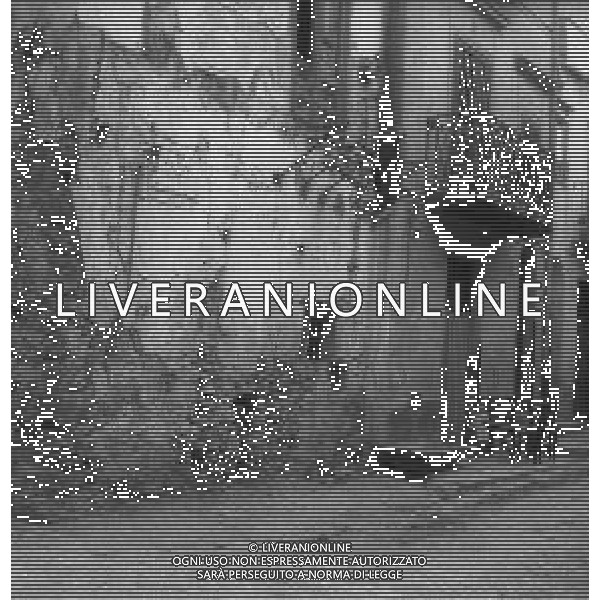 NEG-1952 MONTELEPRE IL PAESE DOVE HA VISSUTO IL BANDITO GIULIANO FOTO SANDRO VESPASIANI-AG GIOVANNI LIVERANI AG ALDO LIVERANI SAS