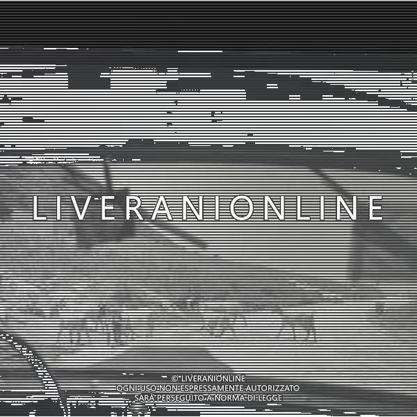 NEG-1952 MONTELEPRE IL PAESE DOVE HA VISSUTO IL BANDITO GIULIANO FOTO SANDRO VESPASIANI-AG GIOVANNI LIVERANI AG ALDO LIVERANI SAS