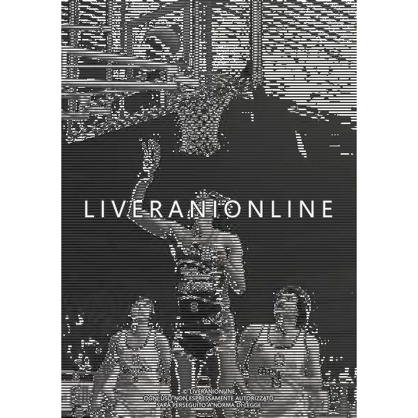 NEG-1980-1981 CANTU\' CAMPIONATO DI BASKET SERIE A1 SQUIBB CANTU\'-GRIMALDI TORINO NELLA FOTO RENZO BARIVIERA -ROMEO SACCHETTI E PINO BRUMATTI FOTO ENRICO LIVERANI-AG ALDO LIVERANI SAS