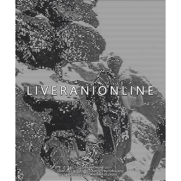NEG-1966 SCALATORI SUL MONTE CERVINO AG GIOVANNI LIVERANI-AG ALDO LIVERANI SAS