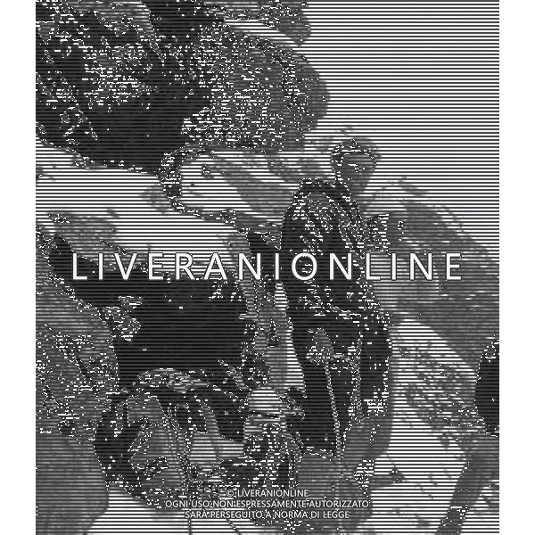 NEG-1966 SCALATORI SUL MONTE CERVINO AG GIOVANNI LIVERANI-AG ALDO LIVERANI SAS