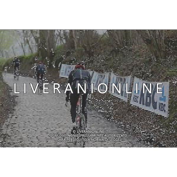 28-03-2024 Allenamento Tour Des Flandres 2024; 2024, Tudor; Koppenberg; ©SIROTTI/AGENZIA ALDO LIVERANI SAS