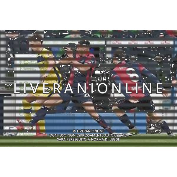1-4-2024. Cagliari calcio-U.S. Hellas Verona F.C. 30° giornata campionato calcio italiano Serie A 2023/2024, stadio Unipol Domus Cagliari. Foto Salvatore Moi/Agenzia Aldo Liverani s.as. Nella foto: Stefan Mitrovic Hellas Verona, Gabriele Zappa Cagliari, Nahitan Nandez Cagliari ©MOI SALVATORE / AGENZIA ALDO LIVERANI SAS