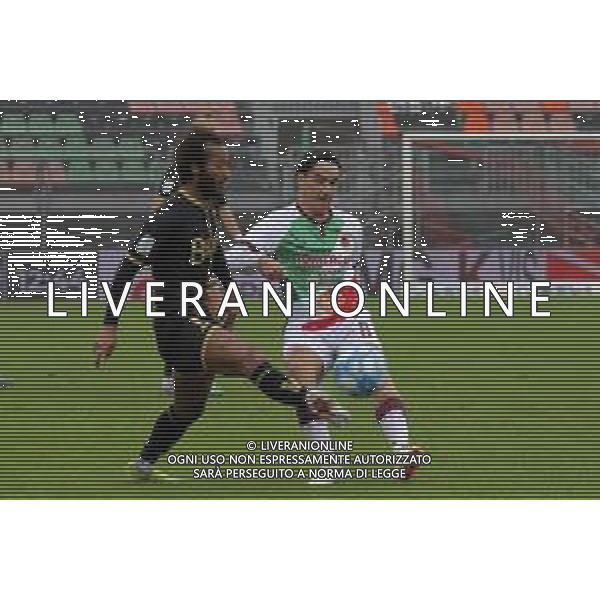 VENEZIA - REGGIANA CAMPIONATO CALCIO SERIE B 01.04.2024 NELLA FOTO GIANLUCA BUSIO E LUCA CIGARINI © AGENZIA ALDO LIVERANI SAS