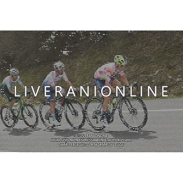 04-04-2024 Itzulia Basque Country; Tappa 04 Etxarri Aranatz - Legutio; 2024, Intermarche - Wanty; Meintjes, Louis; - Giro dei Paesi Baschi 2024 ©SIROTTI / AGENZIA ALDO LIVERANI SAS