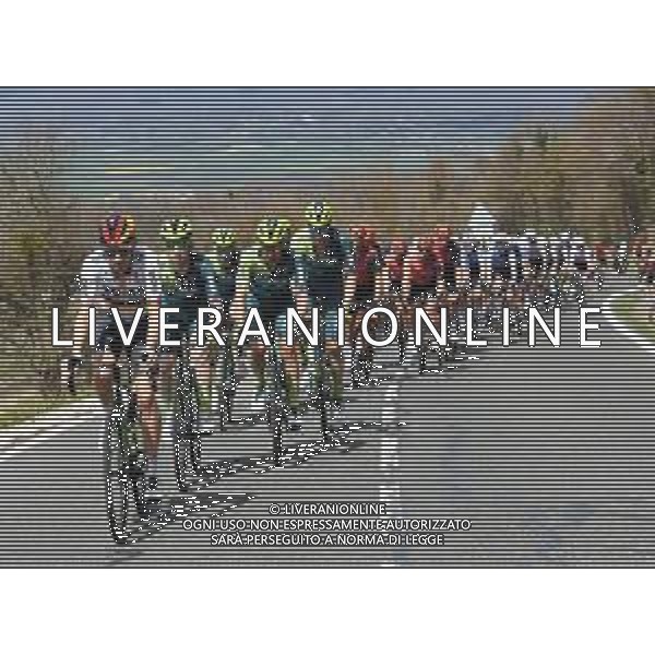 04-04-2024 Itzulia Basque Country; Tappa 04 Etxarri Aranatz - Legutio; 2024, Bora - Hansgrohe; Buchmann, Emanuel; - Giro dei Paesi Baschi 2024 ©SIROTTI / AGENZIA ALDO LIVERANI SAS