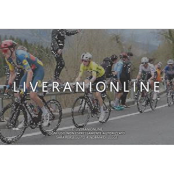 05-04-2024 Itzulia Basque Country; Tappa 05 Vitoria Gasteiz - Amorebieta; 2024, Lidl - Trek; Skjelmose Jensen, Mattias; FOTO STEFANO SIROTTI-AG ALDO LIVERANI SAS