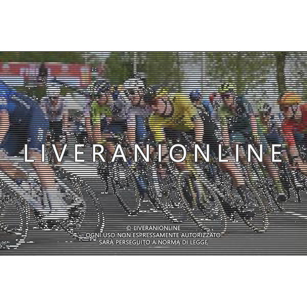 14-04-2024 Amstel Gold Race; 2024, Visma - Lease A Bike; Jorgenson, Matteo; Valkenburg; ©SIROTTI / AGENZIA ALDO LIVERANI SAS