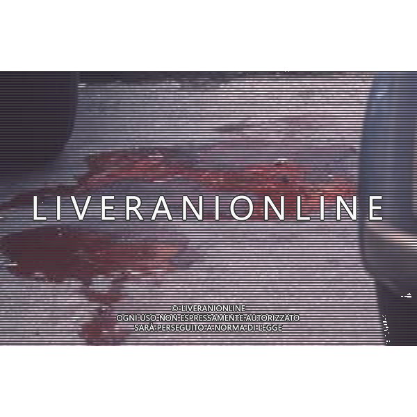 DIAP-MILANO 17-05-1972 OMICIDIO DEL COMMISSARIO DI POLIZIA LUIGI CALABRESI NELLA FOTO IL LUOGO DOVE E\' DOVE E\' STATO UCCISO L\'ISPETTORE DI POLIZIA LUIGI CALABRESI IN VIA CHERUBINI A MILANO AG ALDO LIVERANI SAS