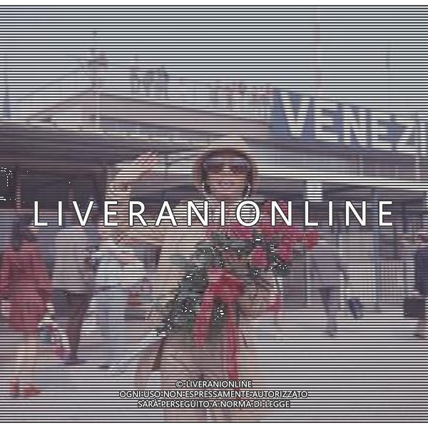 DIAP-RETROSPETTIVA DIANA ROSS CANTANTE NELLA FOTO DIANA ROSS A VENEZIA NELL\'ANNO 1972 ALLA MOSTRA INTERNAZIONALE DEL CINEMA AG ALDO LIVERANI SAS 