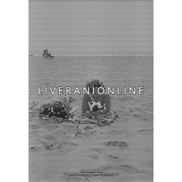 NEG-RETROSPETTIVA CORRADO PANI ATTORE NELLA FOTO CORRADO PANI A OSTIA NELL\'ANNO 1965 CON ANNA QUAGLIARINO AG ALDO LIVERANI SAS