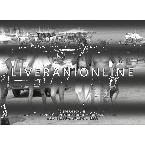NEG-RETROSPETTIVA CORRADO PANI ATTORE NELLA FOTO CORRADO PANI CON IL FIGLIO MASSIMILIANO E LUCIANO SALCE IN SARDEGNA NELL\'ANNO 1973 AG ALDO LIVERANI SAS 