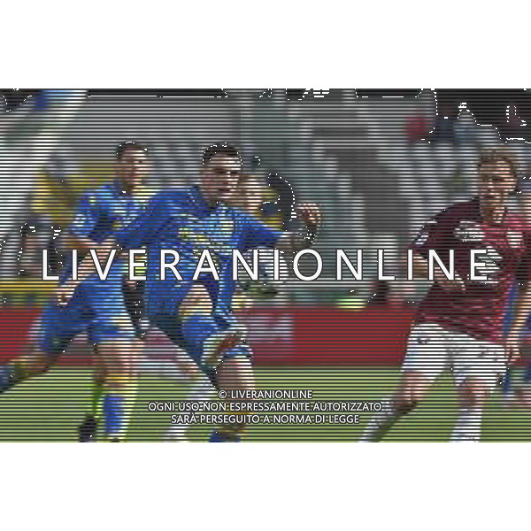 TVAF-Torino 21.04.2024 Stadio Grande Torino ©Alessandro Falzone/Agenzia Aldo Liverani Torino vs Frosinone Campionato Calcio Serie A TIM 2023/2024 33a giornata Nella foto: ZORTEA NADIR ©Falzone / AGENZIA ALDO LIVERANI SAS