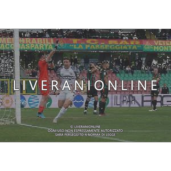 TERNANA - ASCOLI CAMPIONATO CALCIO SERIE B 27.04.2024 NELLA FOTO ESULTANZA DOPO IL GOL DI BOTTEGHIN ©LP / AGENZIA ALDO LIVERANI SAS