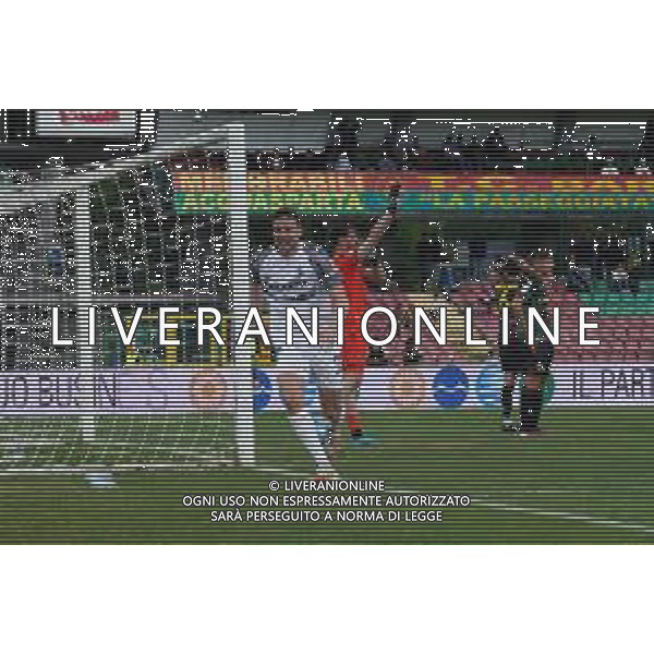 TERNANA - ASCOLI CAMPIONATO CALCIO SERIE B 27.04.2024 NELLA FOTO ESULTANZA DOPO IL GOL DI BOTTEGHIN ©LP / AGENZIA ALDO LIVERANI SAS
