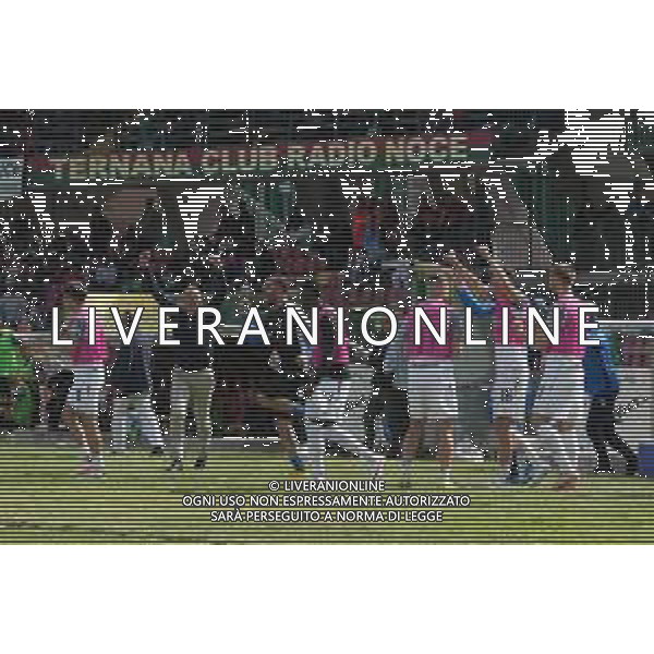 TERNANA - ASCOLI CAMPIONATO CALCIO SERIE B 27.04.2024 NELLA FOTO ESULTANZA GIOCATORI ASCOLI ©LP / AGENZIA ALDO LIVERANI SAS