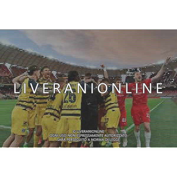 TVEM The Parma Calcio players are celebrating their mathematical promotion to Serie A at the end of the Serie B match on the SSC Bari field in Bari, Italy, on May 1, 2024. Photo by Emmanuele Mastrodonato/agenzia Aldo Liverani sas / AGENZIA ALDO LIVERANI SAS