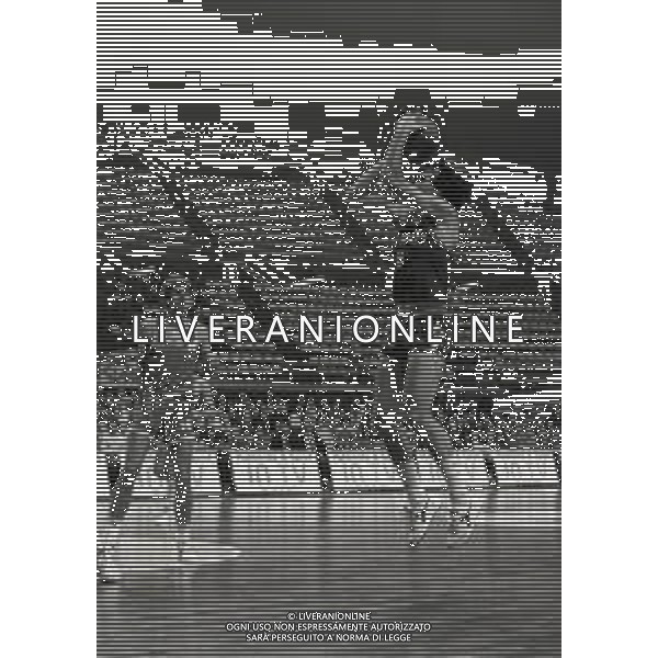 NEG-1983-1984 MILANO SIMAC MILANO-CIBONA ZAGABRIA COPPA CAMPIONI NELLA FOTO MIKE D\'ANTONI AG ALDO LIVERANI SAS