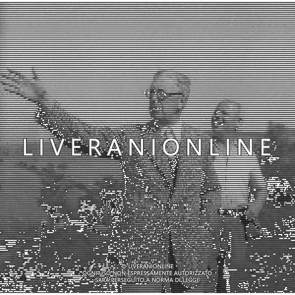 NEG-1955 CIVITELLA DI CESI SCAVI E RICERCHE CIVILTA\' ETRUSCHE NELLA FOTO IL RE GUSTAVO DI SVEZIA PARTECIPA ALLE RICERCHE DELLA CIVILTA ETRUSCA NEL PAESE DI CIVITELLA DI CESI ANNO 1955 FOTO SANDRO VESPASIANI-AG ALDO LIVERANI SAS