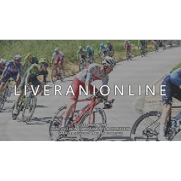 15-05-2024 Giro D\'italia; Tappa 11 Foiano Di Val Fortore - Francavilla Al Mare; 2024, Polti - Kometa; foto stefano sirotti-ag aldo liverani sas