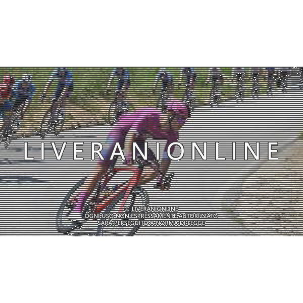 15-05-2024 Giro D\'italia; Tappa 11 Foiano Di Val Fortore - Francavilla Al Mare; 2024, Lidl - Trek; Milan, Jonathan; foto stefano sirotti-ag aldo liverani sas