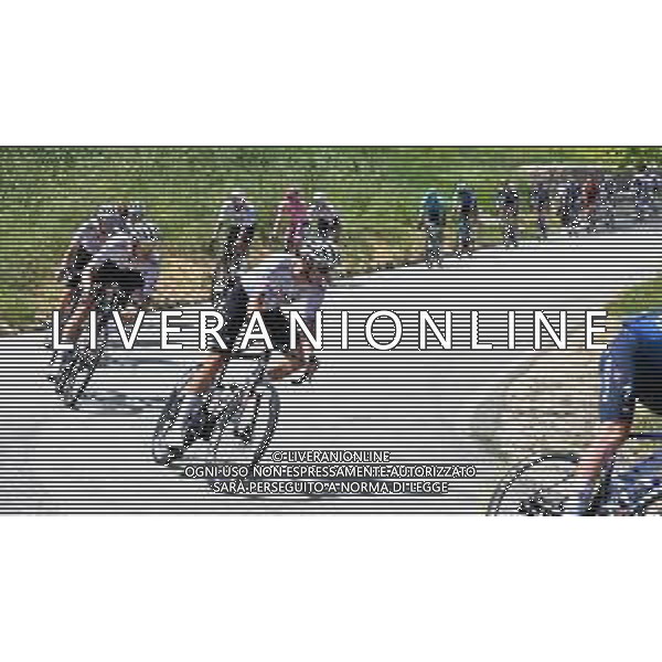 15-05-2024 Giro D\'italia; Tappa 11 Foiano Di Val Fortore - Francavilla Al Mare; 2024, Uae Team Emirates; Novak, Domen; foto stefano sirotti-ag aldo liverani sas
