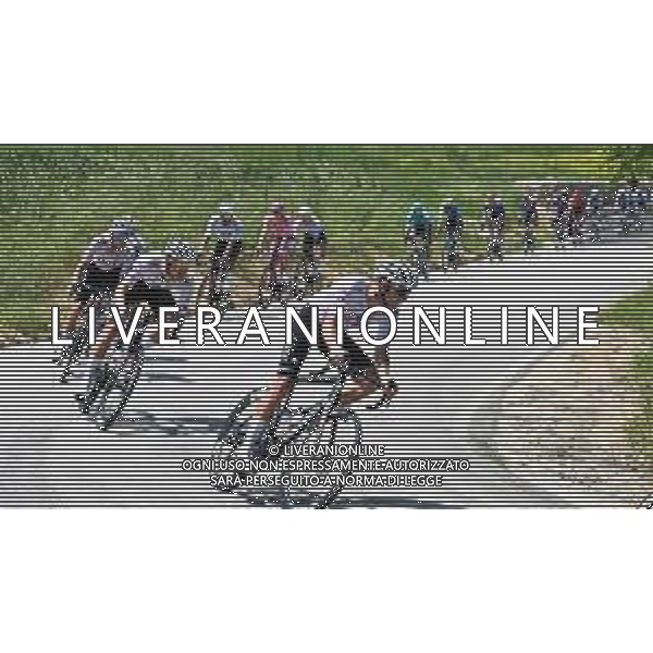 15-05-2024 Giro D\'italia; Tappa 11 Foiano Di Val Fortore - Francavilla Al Mare; 2024, Uae Team Emirates; Novak, Domen; foto stefano sirotti-ag aldo liverani sas