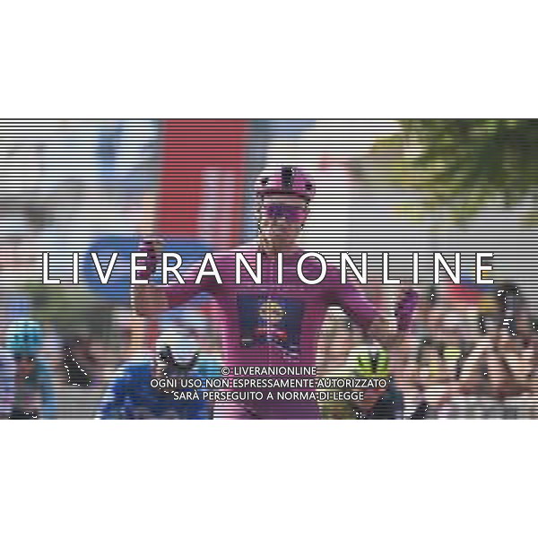 15-05-2024 Giro D\'italia; Tappa 11 Foiano Di Val Fortore - Francavilla Al Mare; 2024, Lidl - Trek; Milan, Jonathan; Francavilla Al Mare; ©SIROTTI / AGENZIA ALDO LIVERANI SAS