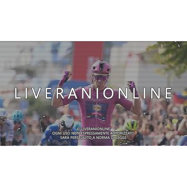 15-05-2024 Giro D\'italia; Tappa 11 Foiano Di Val Fortore - Francavilla Al Mare; 2024, Lidl - Trek; Milan, Jonathan; Francavilla Al Mare; ©SIROTTI / AGENZIA ALDO LIVERANI SAS