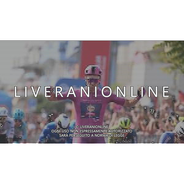 15-05-2024 Giro D\'italia; Tappa 11 Foiano Di Val Fortore - Francavilla Al Mare; 2024, Lidl - Trek; Milan, Jonathan; Francavilla Al Mare; ©SIROTTI / AGENZIA ALDO LIVERANI SAS