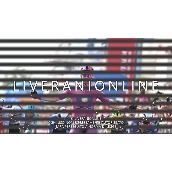 15-05-2024 Giro D\'italia; Tappa 11 Foiano Di Val Fortore - Francavilla Al Mare; 2024, Lidl - Trek; Milan, Jonathan; Francavilla Al Mare; ©SIROTTI / AGENZIA ALDO LIVERANI SAS